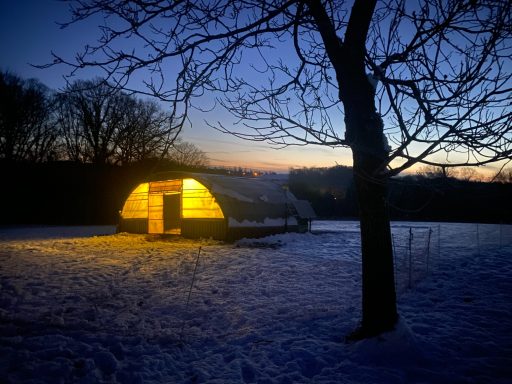 Februar Wintermorgen